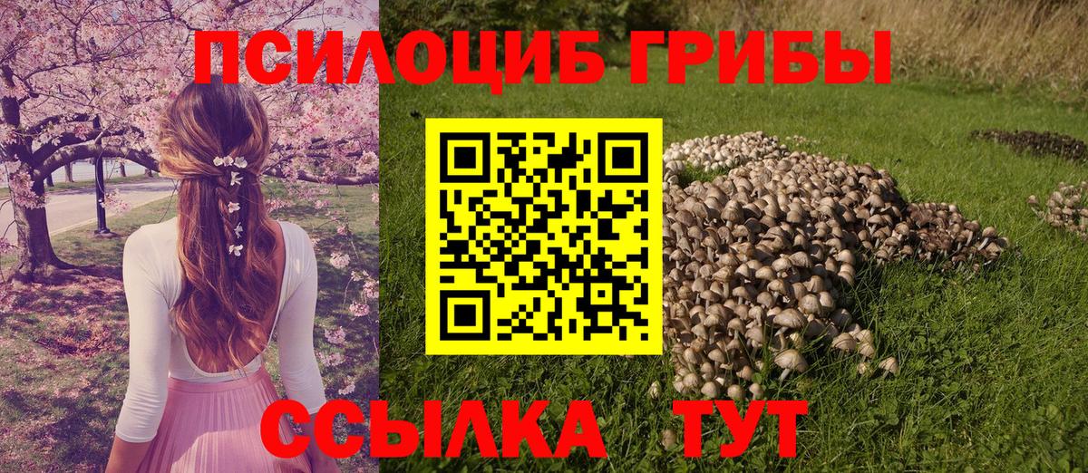 Мурманск  Галлюциногенные грибы MAGIC MUSHROOMS  Вход с VPN 