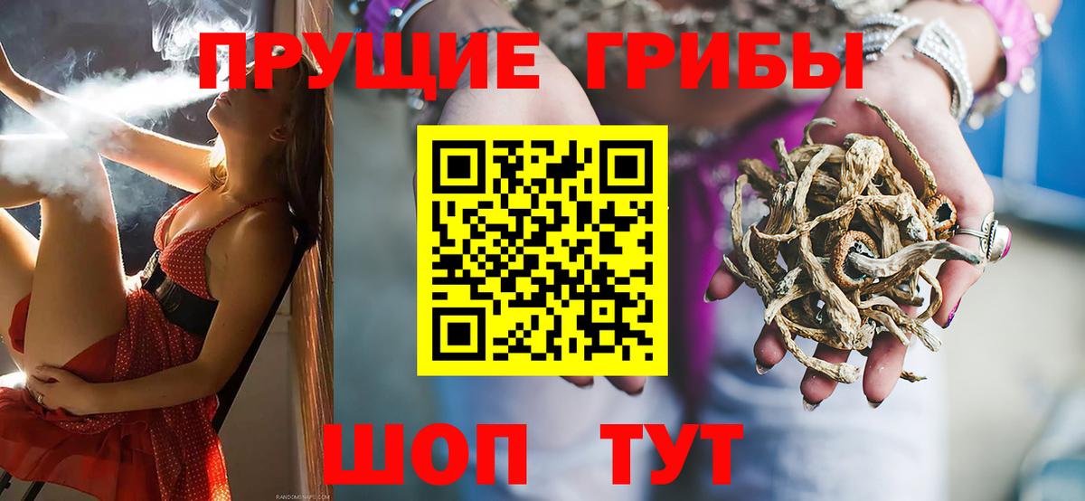 Галлюциногенные грибы прущие грибы Мурманск
